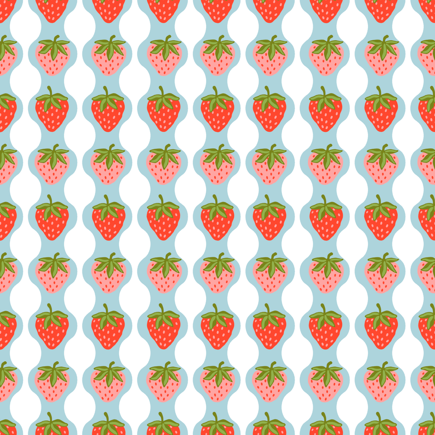 Kari’s Travel Case